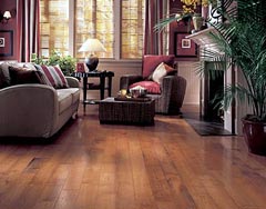 Bruce Floors