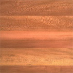 Sycamore Flooring Scene