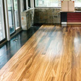 Zebrawood Flooring