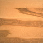 Beech Wood Flooring Sample