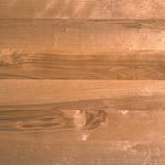 Birch Wood Flooring Sample