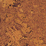 Cork Wood Flooring Sample