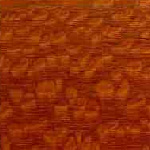 Leopardwood Flooring Sample